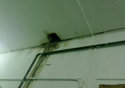 infiltrazione-acqua-tombino