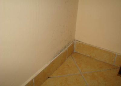 muffa-angolo-pavimento