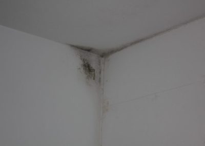 muffa-angolo-soffitto2