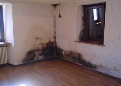 muffa-dietro-mobile2