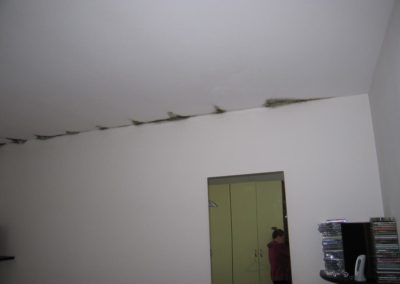 muffa-soffitto-camera