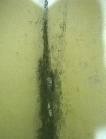 Risoluzione muffe da condensa e isolamento in Milano