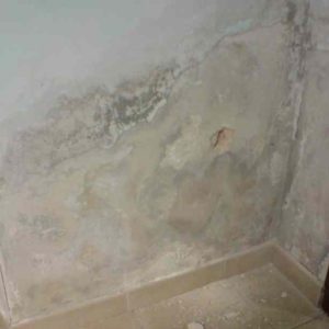 Foto scheda 6_614x614