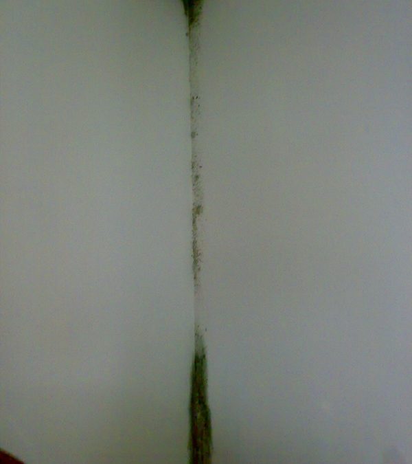 Muffe da condensa a Corsico