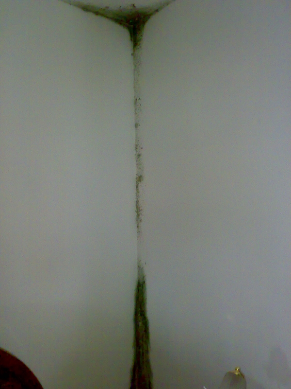 01022008115