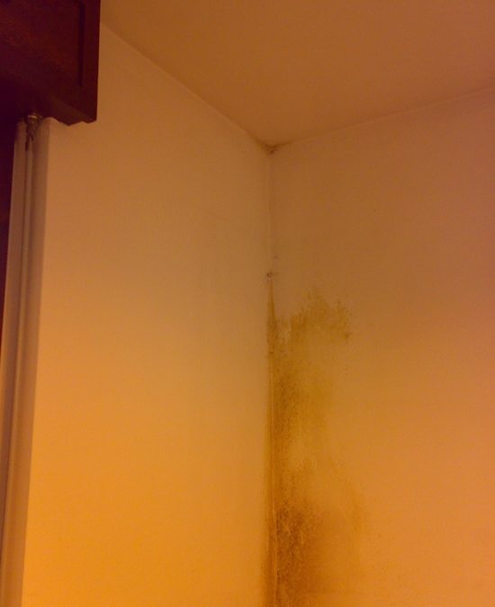 Muffe da condensa in appartamento a Torino