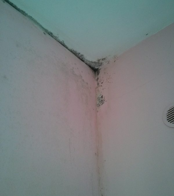 Eliminazione muffe da condensa a Nichelino