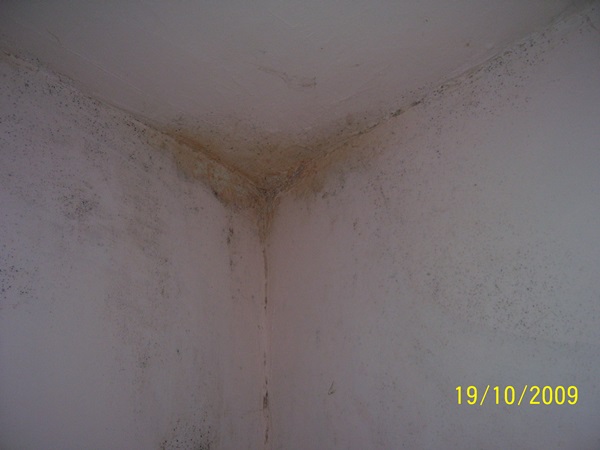 Rimozione di muffe da condensa a Corsico